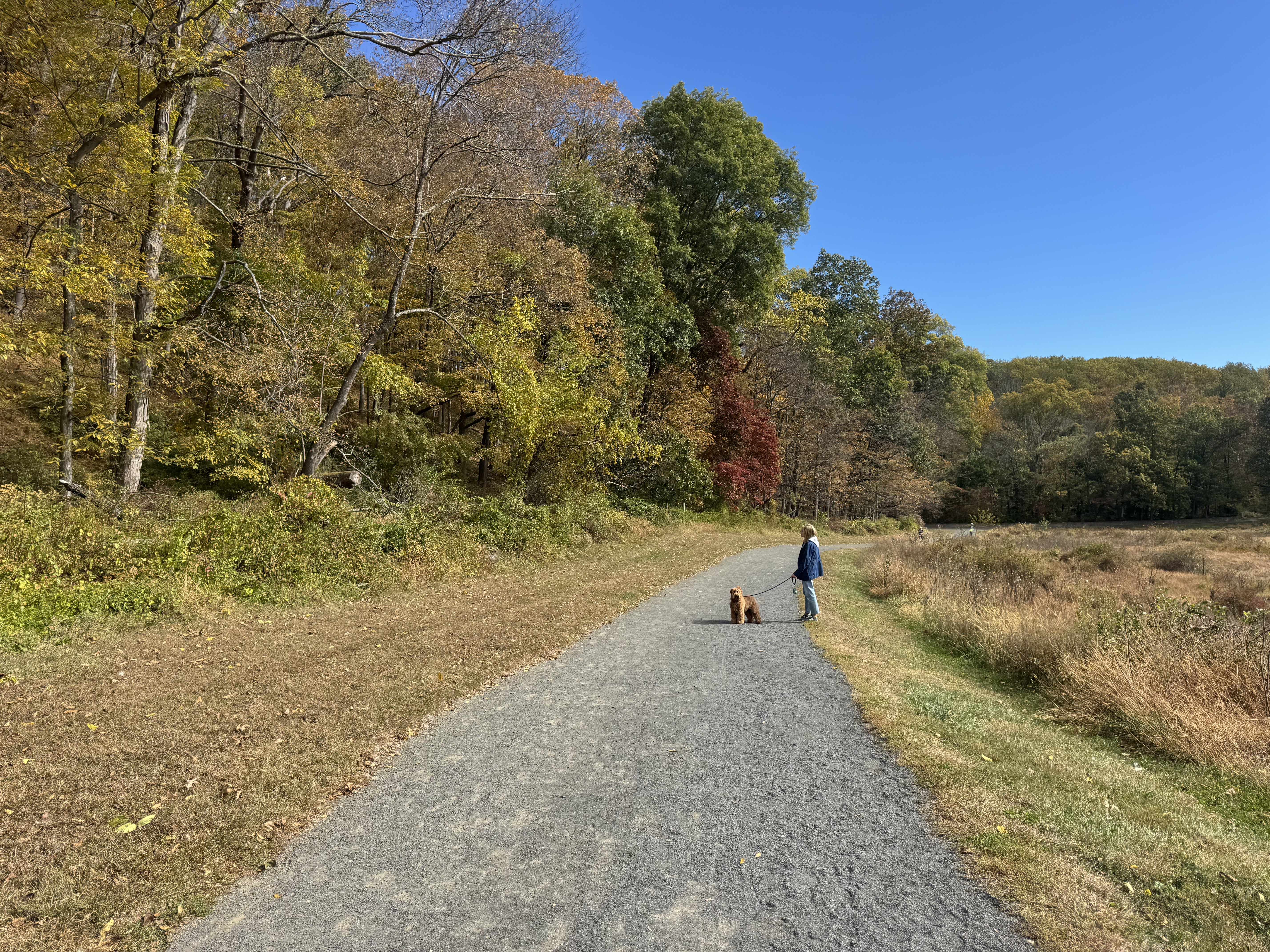Street performance in Austin — photo by Sammy Slogoff